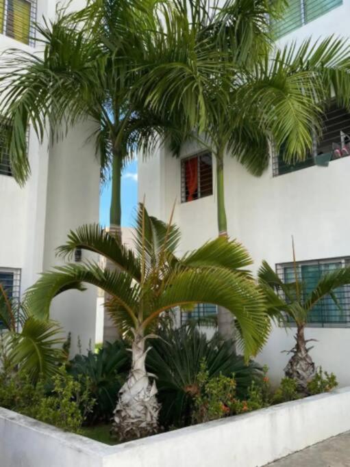 1er piso, 3 Habitaciones con piscina wifi, netflix Santiago De Los Caballeros Exterior foto